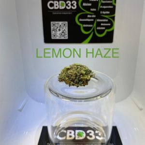 CBD Culture en Serre - LEMON HAZE