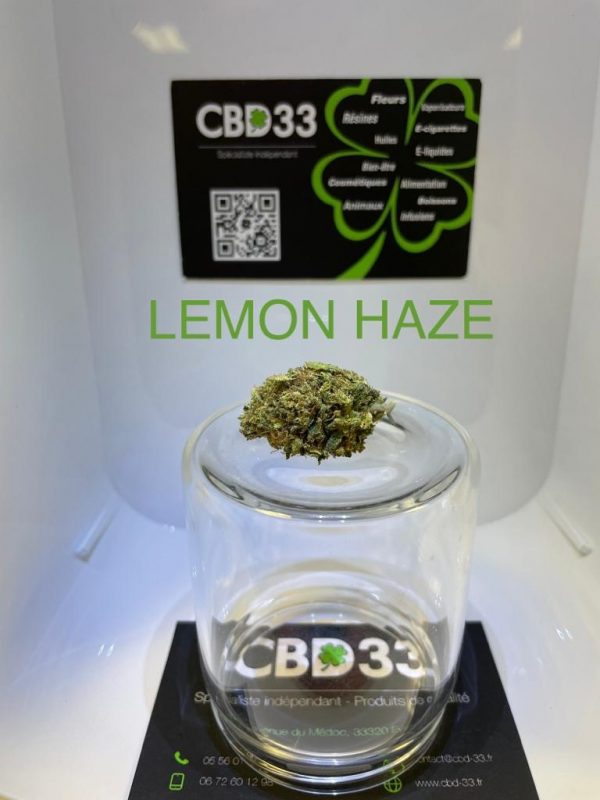 CBD Culture en Serre - LEMON HAZE