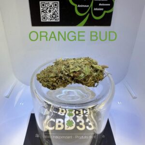 CBD Culture en Extérieur - ORANGE BUD