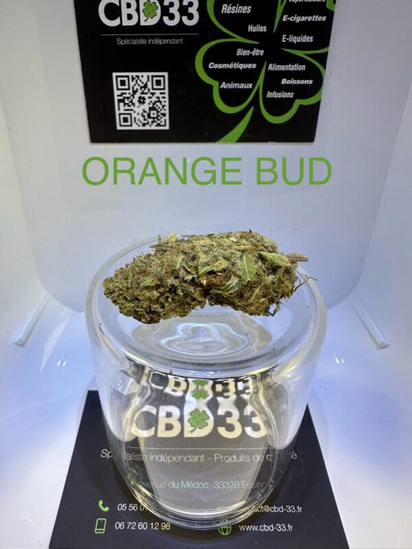 CBD Culture en Extérieur - ORANGE BUD
