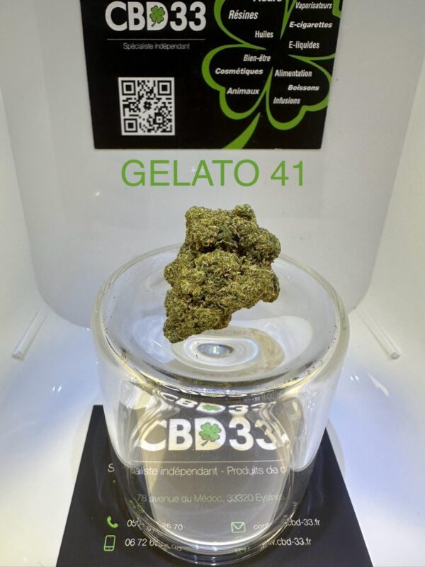CBD Culture Intérieure - GELATO 33