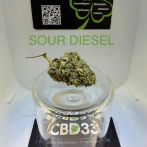 CBD Culture Intérieure - SOUR DIESEL