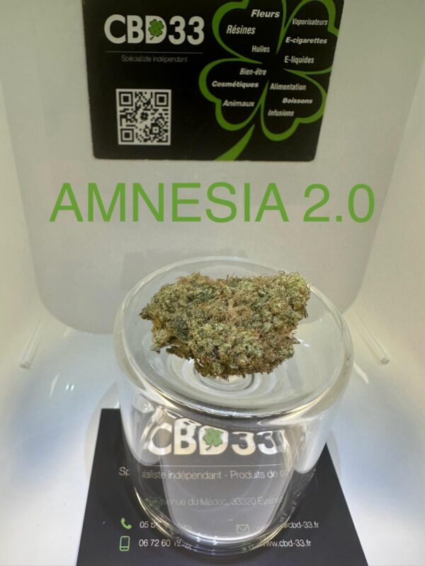 CBD Culture Intérieure - AMNESIA 2.0