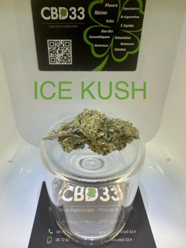 CBD Culture Intérieure - ICE KUSH
