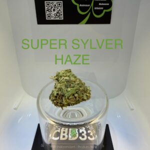 CBD Culture Intérieure - SUPER SILVER HAZE