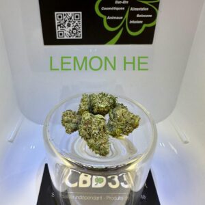 CBD Culture Intérieure - LEMON HE