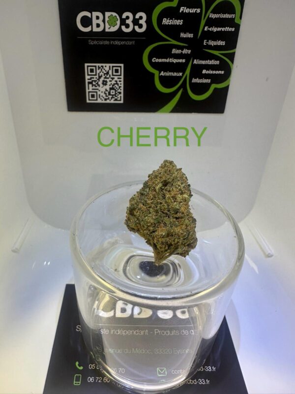 CBD Culture en Intérieur - CHERRY