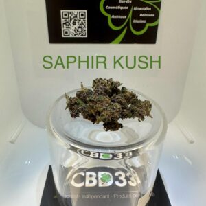 CBD Culture en Serre - SAPHIR KUSH