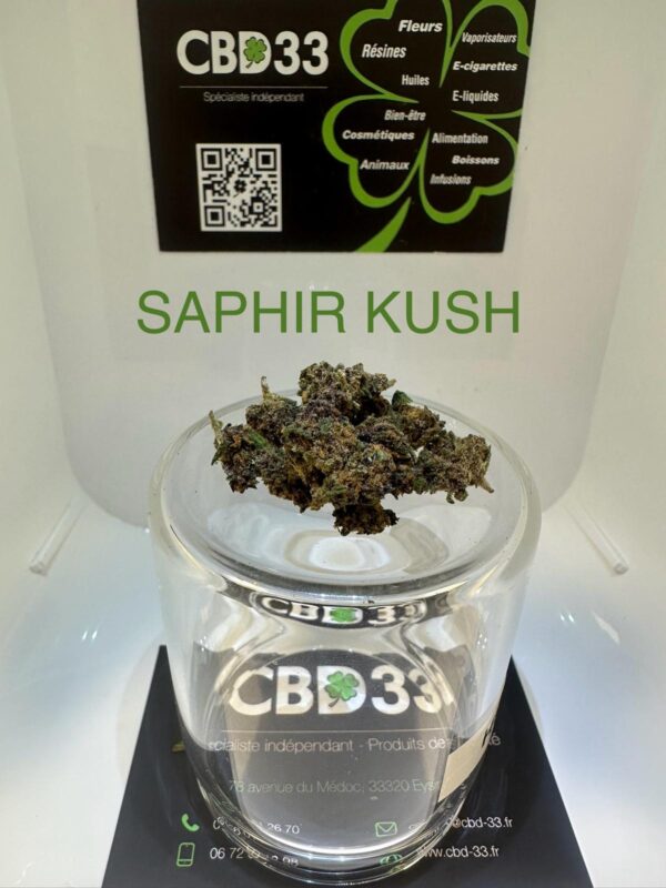 CBD Culture en Serre - SAPHIR KUSH
