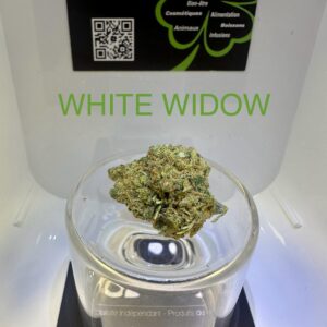 CBD Culture Intérieure - WHITE WIDOW