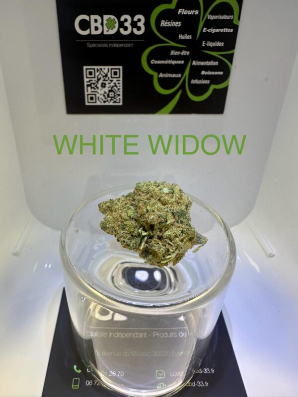 CBD Culture Intérieure - WHITE WIDOW