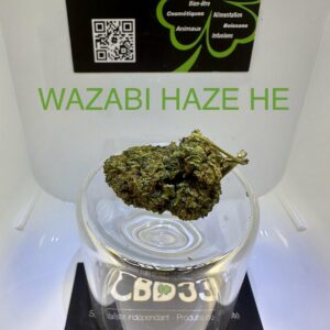 CBD Culture Intérieure - WAZABI HAZE HE