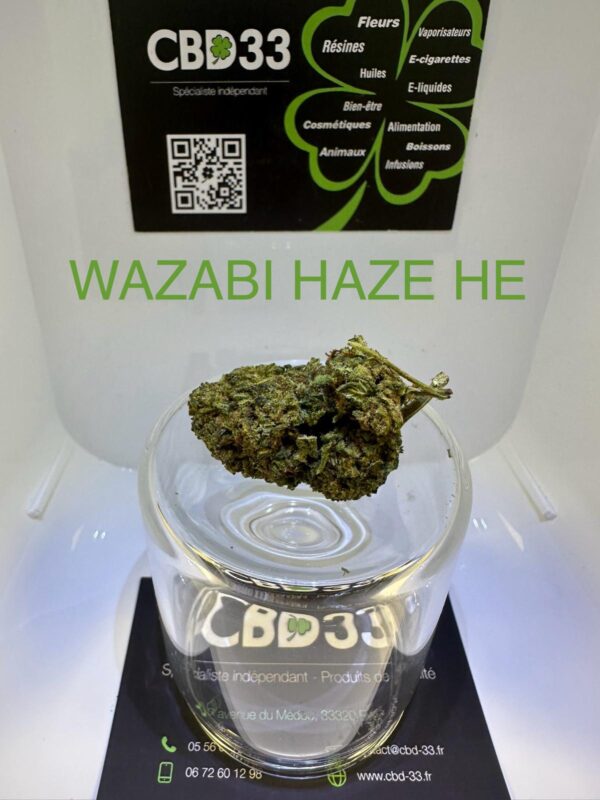 CBD Culture Intérieure - WAZABI HAZE HE