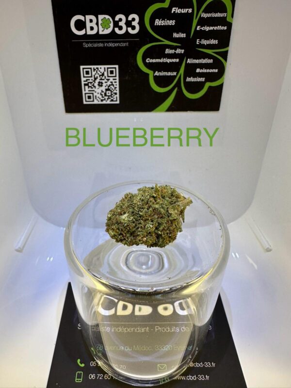 CBD Culture Intérieure - BLUEBERRY