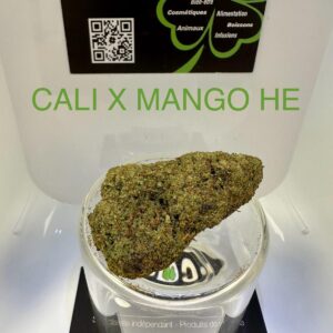 CBD Culture Intérieure - CALI X MANGO HE
