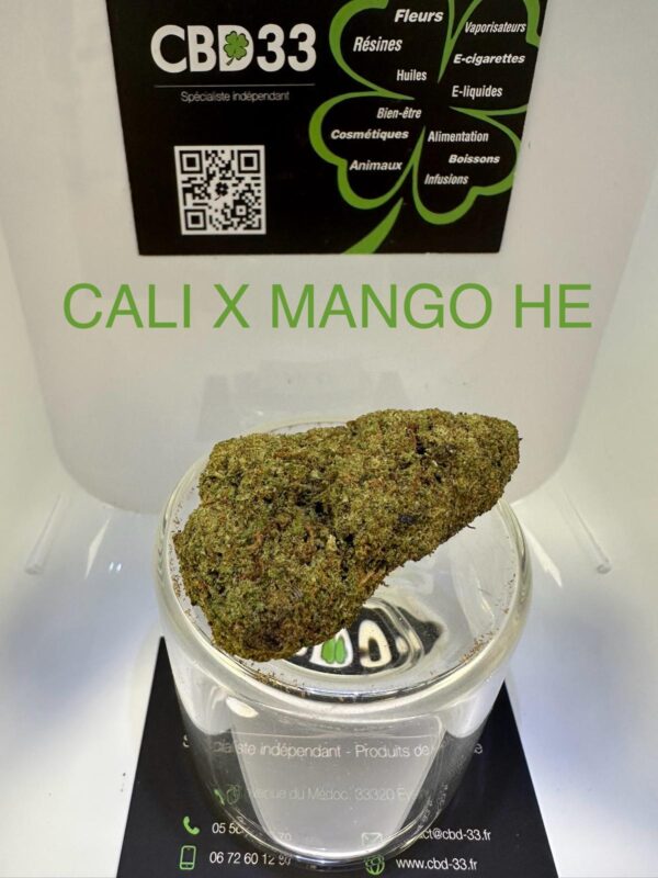 CBD Culture Intérieure - CALI X MANGO HE