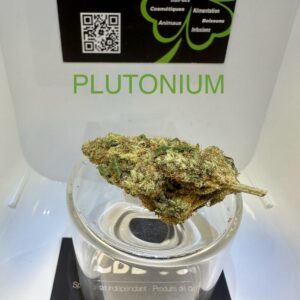 CBD Culture Intérieure - PLUTONIUM