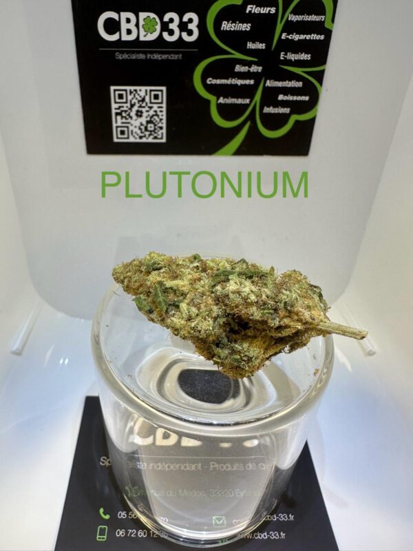 CBD Culture Intérieure - PLUTONIUM