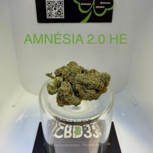 CBD Culture Intérieure - AMNESIA 2.0 HE