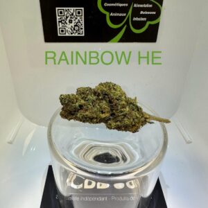 CBD Culture Intérieure - RAINBOW HE