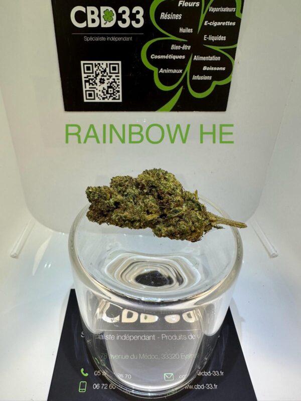 CBD Culture Intérieure - RAINBOW HE
