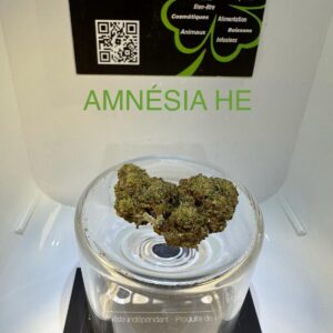 CBD Culture Intérieure -AMNESIA HE
