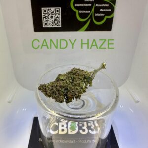CBD Culture en Serre - CANDY HAZE