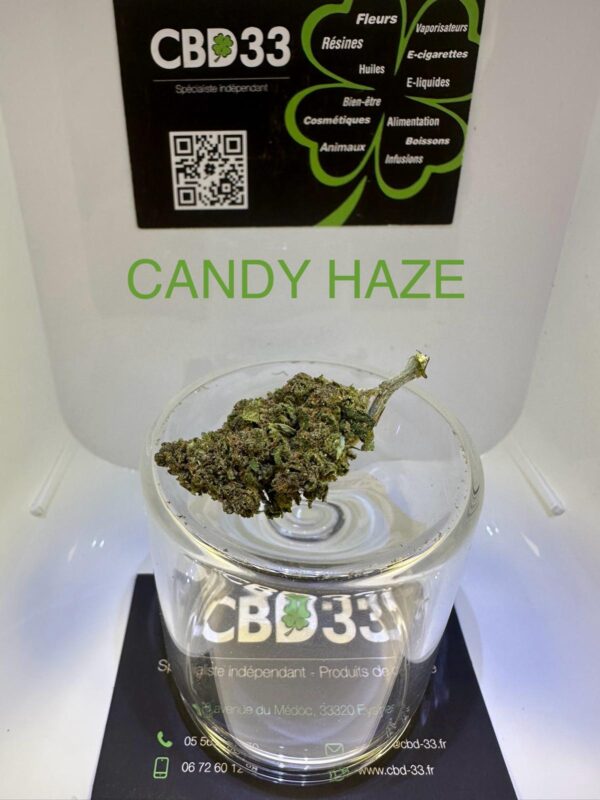 CBD Culture en Serre - CANDY HAZE