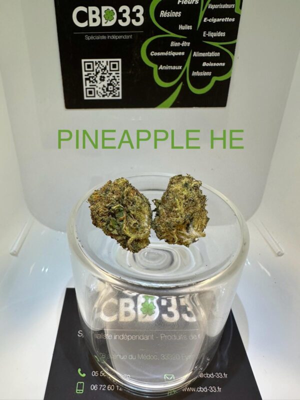 CBD Culture Intérieure - PINEAPPLE HE
