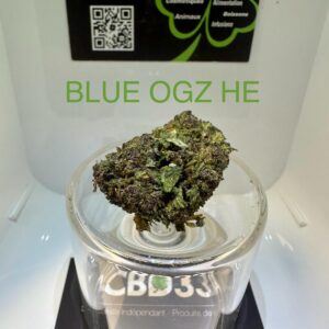 CBD Culture Intérieure - BLUE OGZ HE