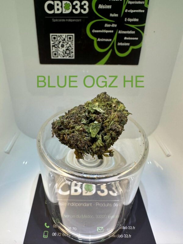 CBD Culture Intérieure - BLUE OGZ HE