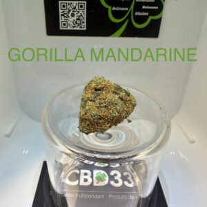 CBD Culture Intérieure - GORILLA MANDARINE