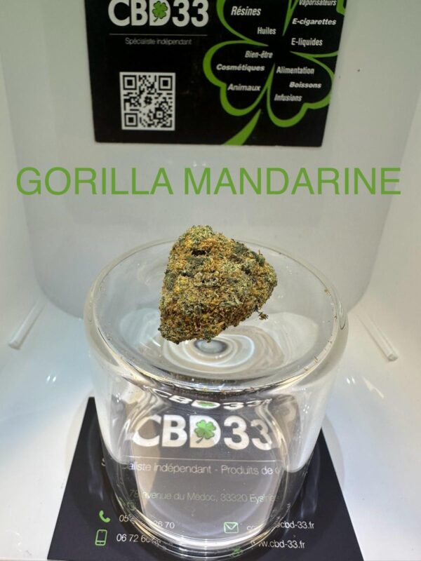 CBD Culture Intérieure - GORILLA MANDARINE