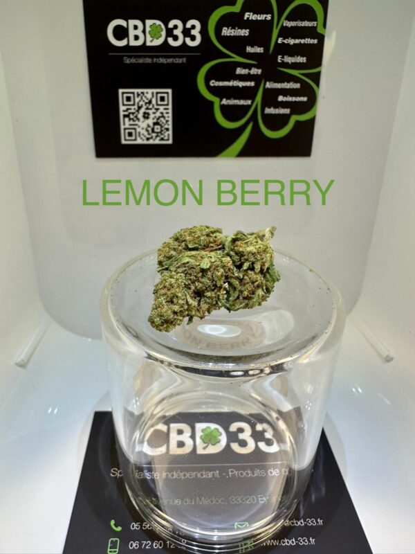 CBD Culture en Intérieur - LEMON BERRY