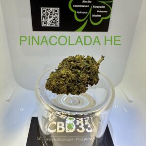 CBD Culture Intérieure - PIÑACOLADA HE