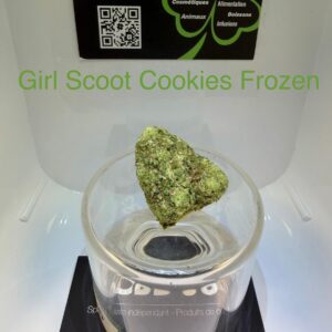 CBD Culture Intérieure - GIRL SCOOT COOKIES FROZEN