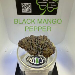 CBD Culture Intérieure - BLACK MANGO PEPPER
