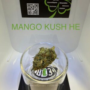 CBD Culture Intérieure - MANGO KUSH HE