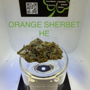 CBD Culture Intérieure - ORANGE SHERBET HE