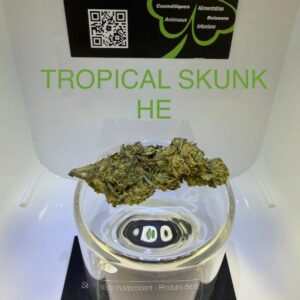 CBD Culture Intérieure - TROPICAL SKUNK HE