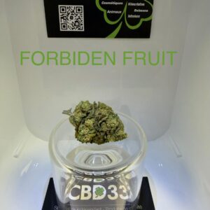 CBD Culture en Serre - FORBIDDEN FRUIT