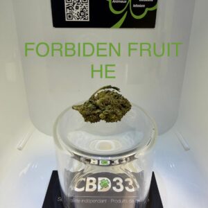 CBD Culture Intérieure - FORBIDDEN FRUIT HE