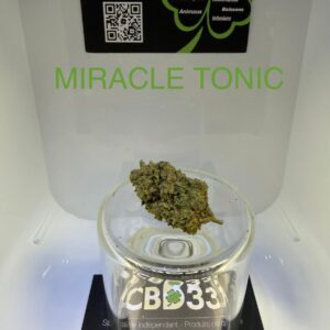 CBD Culture en Serre - MIRACLE TONIC