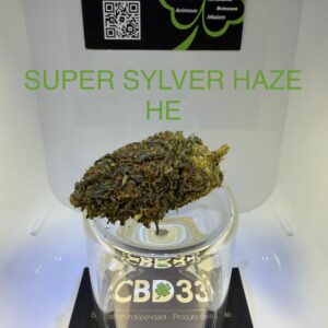 CBD Culture Intérieure - SUPER SILVER HAZE HE