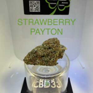 CBD Culture Intérieure - STRAWBERRY PAYTON 🇺🇸