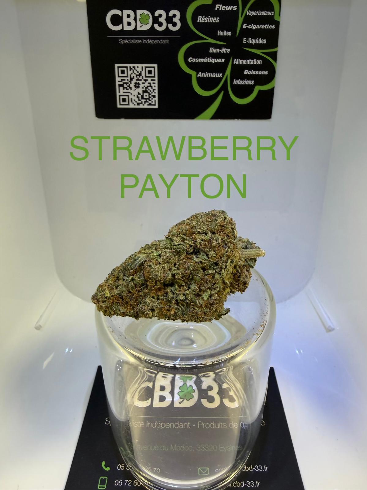 CBD Culture Intérieure - STRAWBERRY PAYTON 🇺🇸