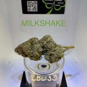 CBD Culture en Serre - MILKSHAKE
