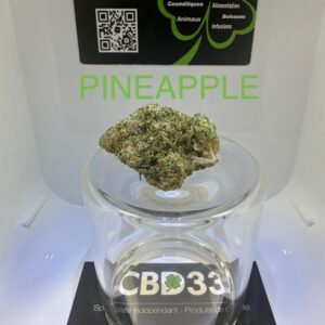 CBD Culture en Extérieur - PINEAPPLE