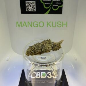 CBD Culture en Serre - MANGO KUSH