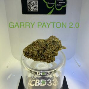 CBD Culture Intérieure - GARRY PAYTON 2.0 🇺🇸